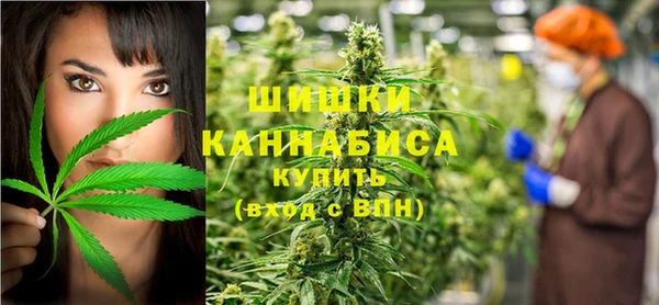 трава Абаза