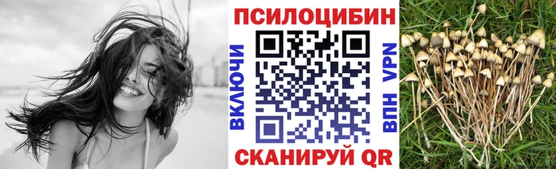 хочу наркоту  Севастополь  Галлюциногенные грибы ЛСД 